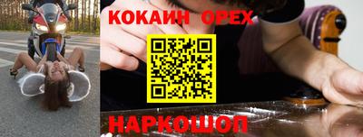 крисы Ливны