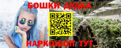 крисы Ливны