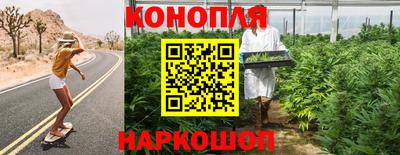 крисы Ливны