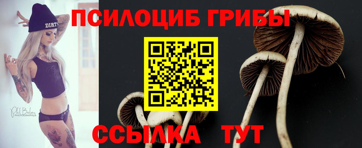 Псилоцибиновые грибы ЛСД  Вход с VPN  Гудермес 